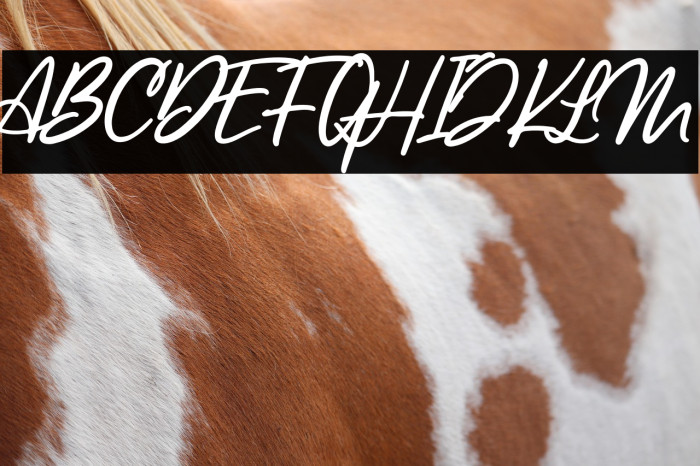 LancasteScriptAltDemo Example 1