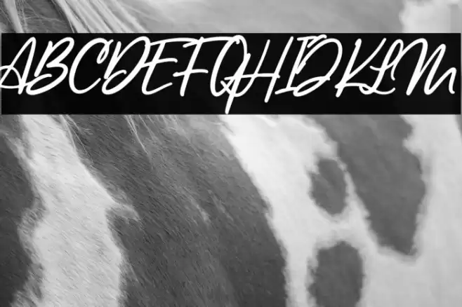 LancasteScriptAltDemo Font examples