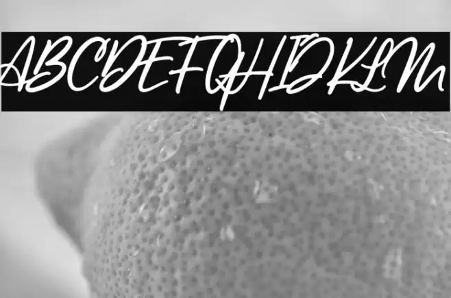 LancasteScriptAltDemo Font examples