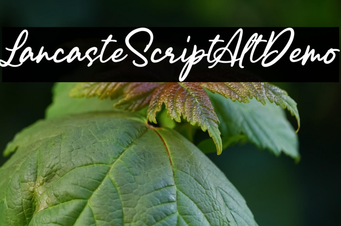 LancasteScriptAltDemo Example 1