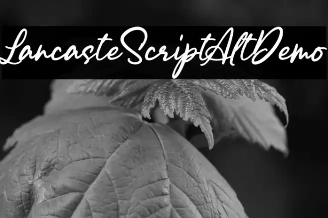 LancasteScriptAltDemo Font examples