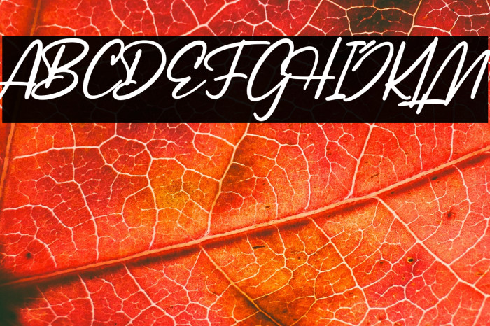 LancasteScriptDemo Example 2