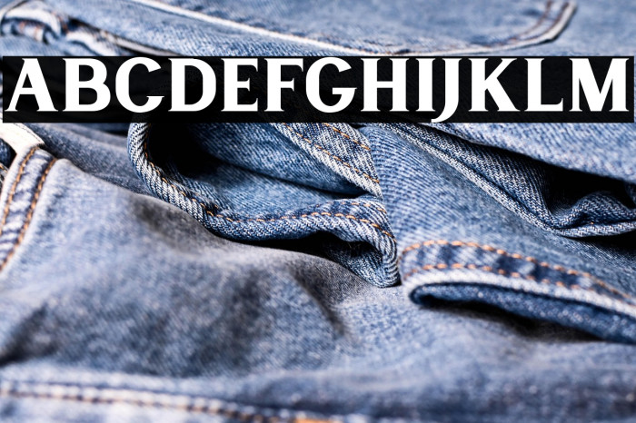 LancasteSerifDemo Example 1