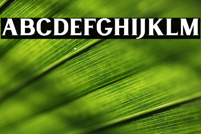 LancasteSerifDemo Example 3