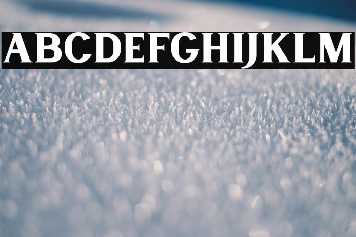 LancasteSerifDemo Example 1