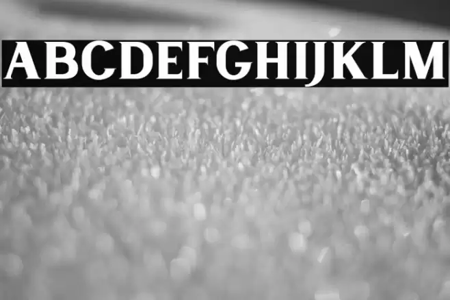 LancasteSerifDemo Font examples