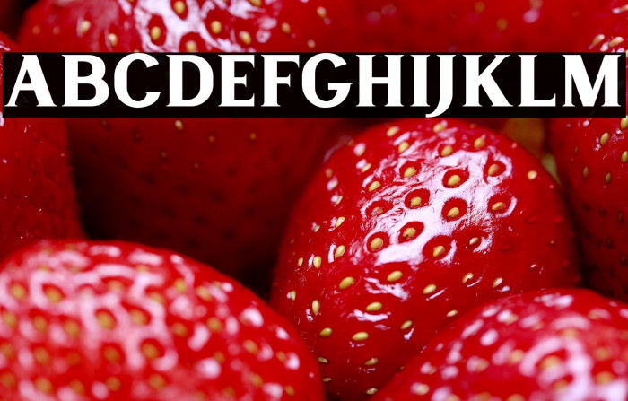 LancasteSerifDemo Example 2