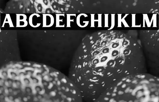 LancasteSerifDemo Font examples