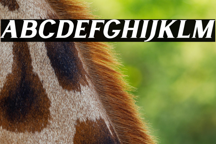 LancasteSerifSlantDemo Example 3