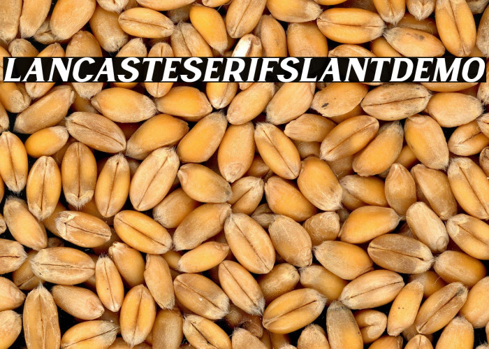 LancasteSerifSlantDemo Example 2