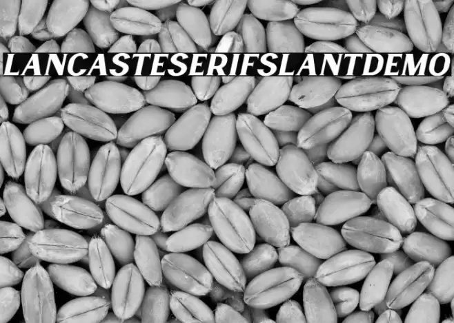 LancasteSerifSlantDemo Font examples