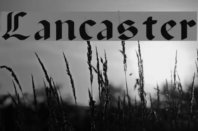 Lancaster Example 1