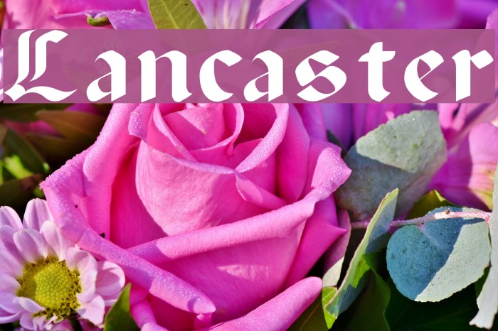 Lancaster Font examples