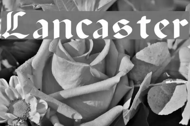 Lancaster Example 2
