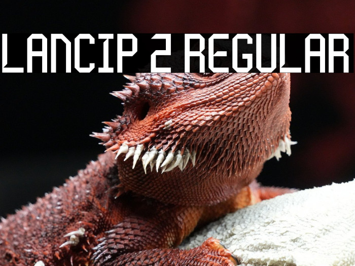 Lancip 2 Regular Example 3