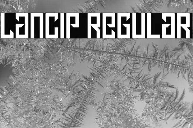 Lancip Regular Example 2