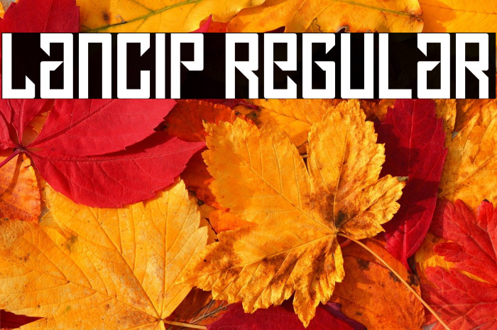Lancip Regular Example 3