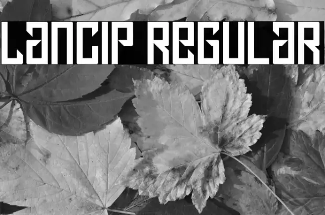 Lancip Regular Example 3