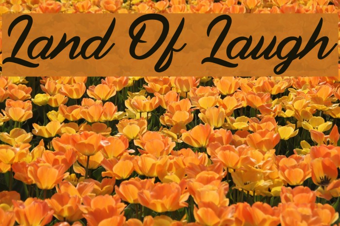 Land Of Laugh Example 1