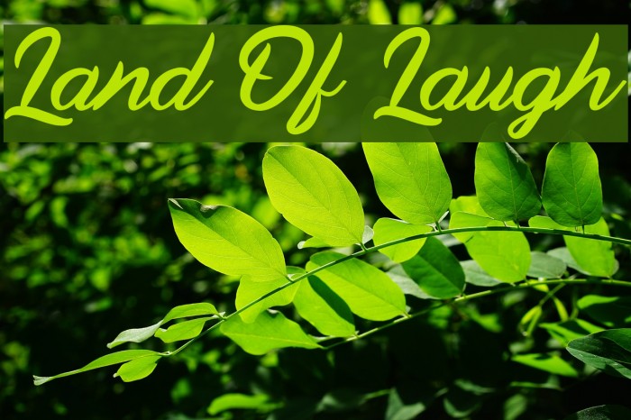 Land Of Laugh Example 2