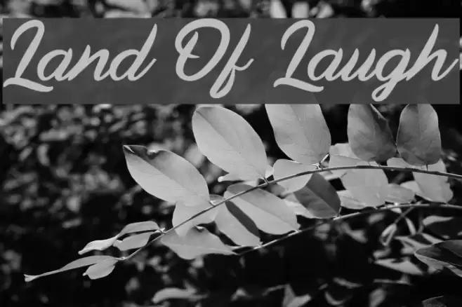 Land Of Laugh Font examples