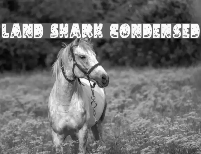 Land Shark Condensed Caratteri examples