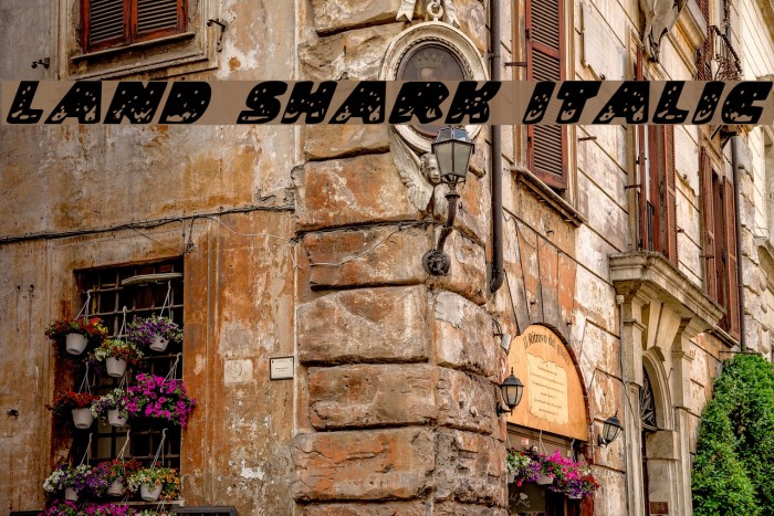 Land Shark Italic Font examples