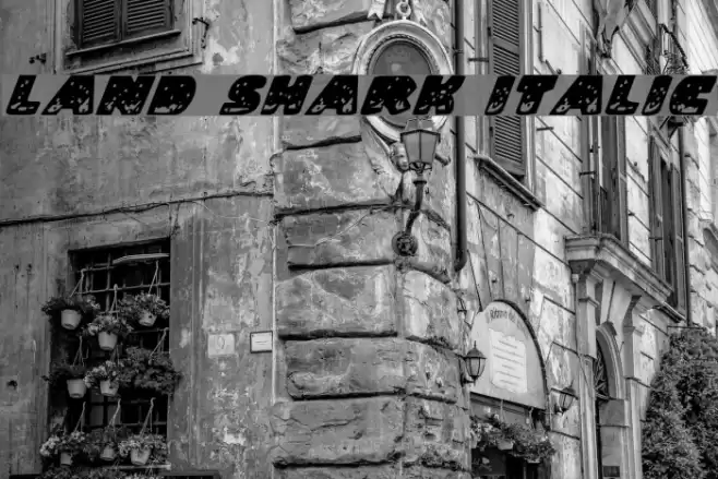 Land Shark Italic Caratteri examples