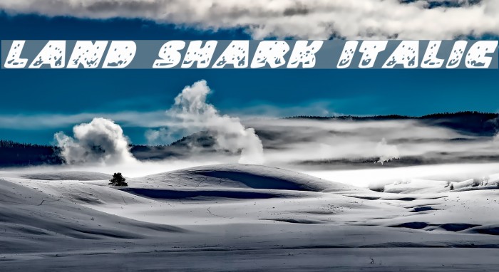 Land Shark Italic Font examples