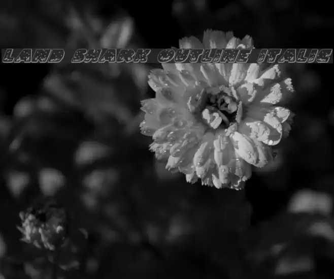 Land Shark Outline Italic Font examples