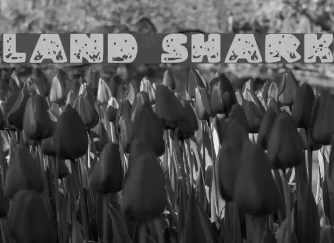 Land Shark Font examples