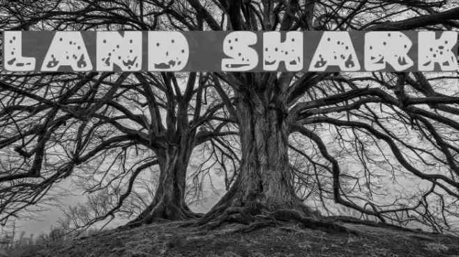 Land Shark Font examples