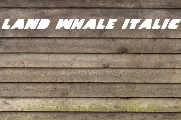 Land Whale Italic Font examples