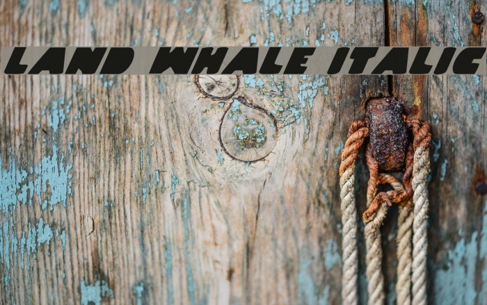 Land Whale Italic Font examples