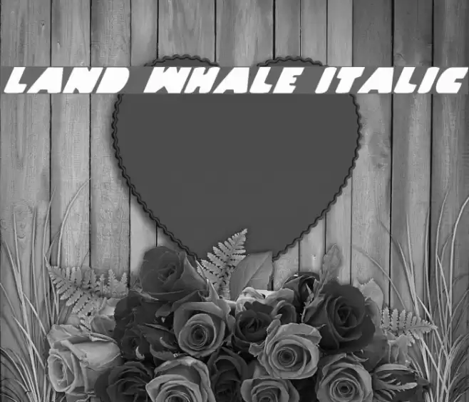 Land Whale Italic Font examples