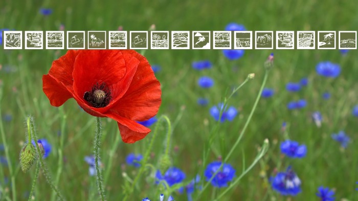 LandAndTownScapes Font examples