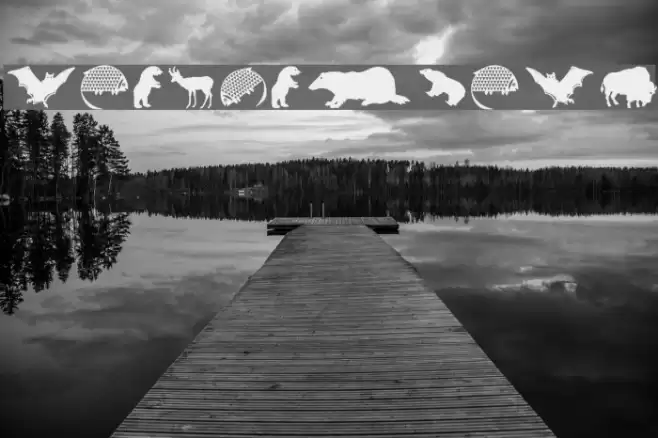 LandAnimals Font examples