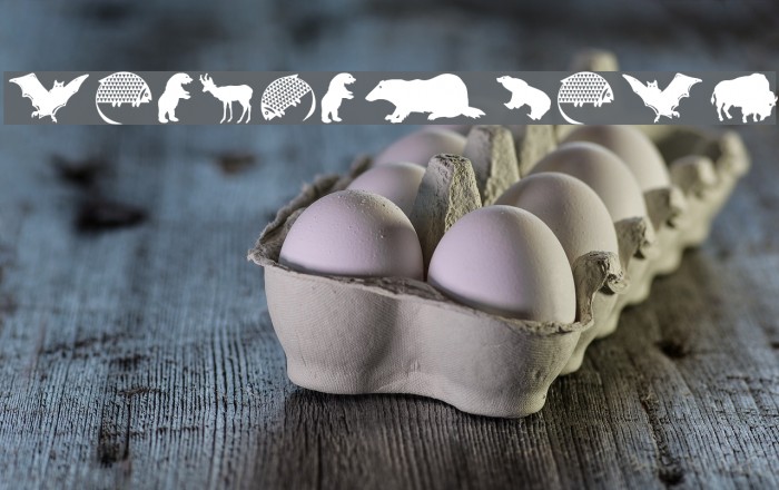 LandAnimals Example 3