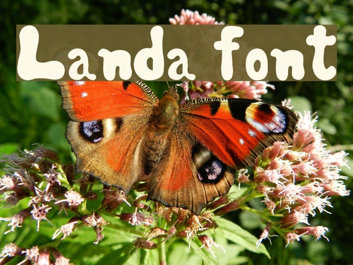 Landa font Font examples