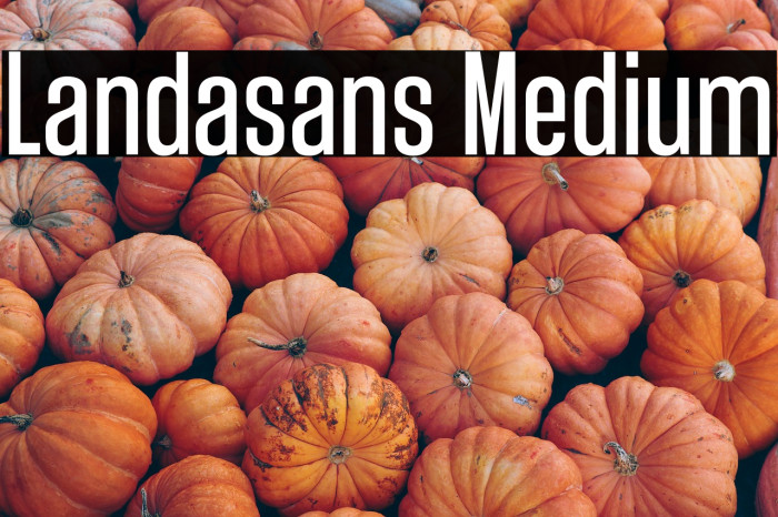 Landasans Medium Example 2