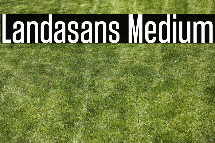 Landasans Medium Example 3