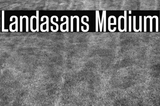 Landasans Medium Font examples