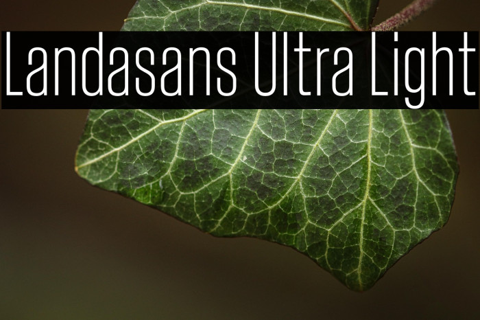 Landasans Ultra Light Example 1