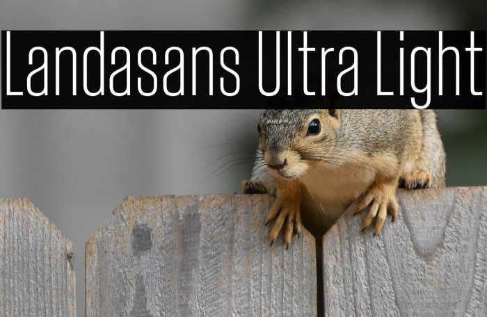 Landasans Ultra Light Example 2