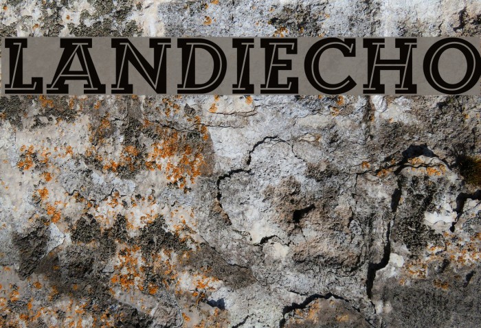 Landi_Echo Example 1