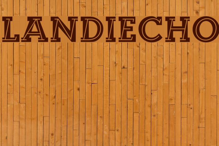 Landi_Echo Example 2