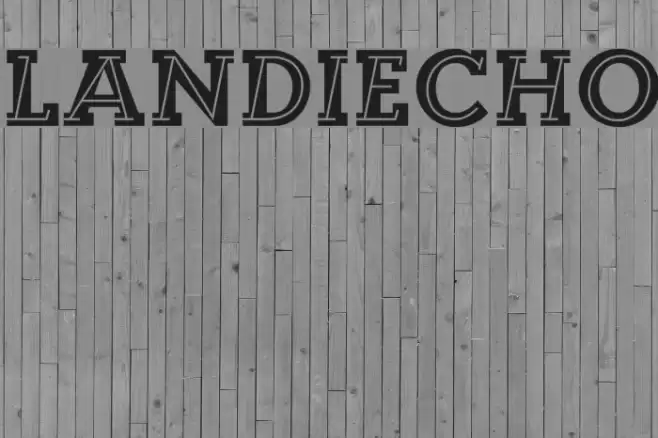 Landi_Echo Font examples