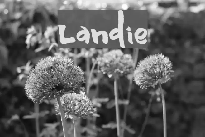 Landie फ़ॉन्ट examples