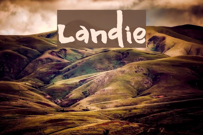 Landie Font examples