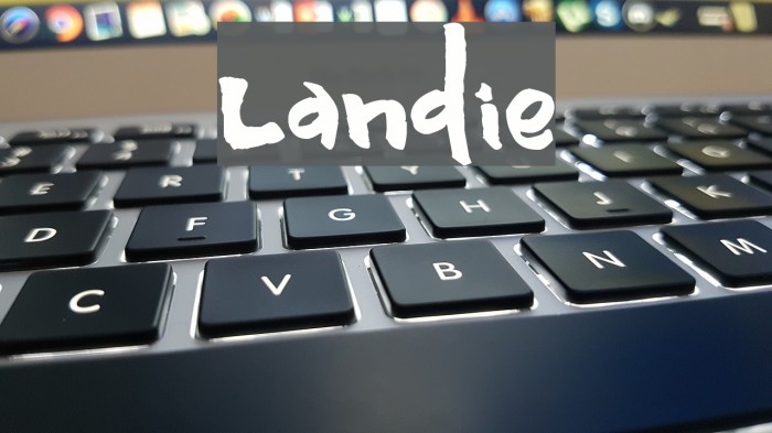 Landie Font examples